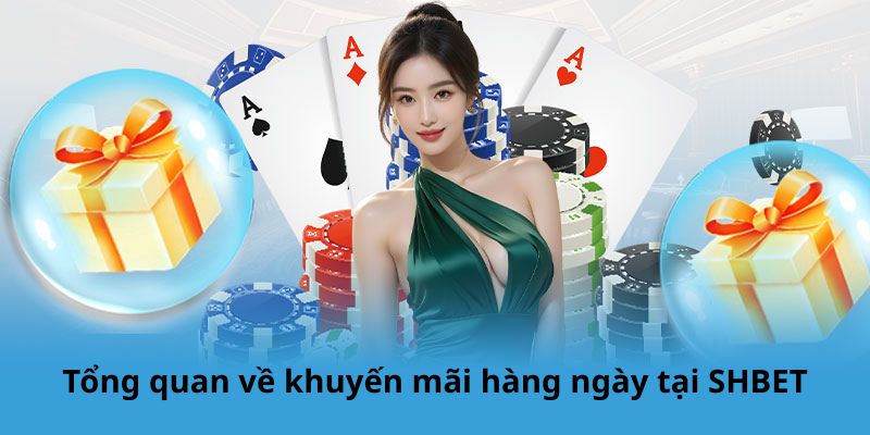Tổng quan về khuyến mãi hàng ngày tại SHBET