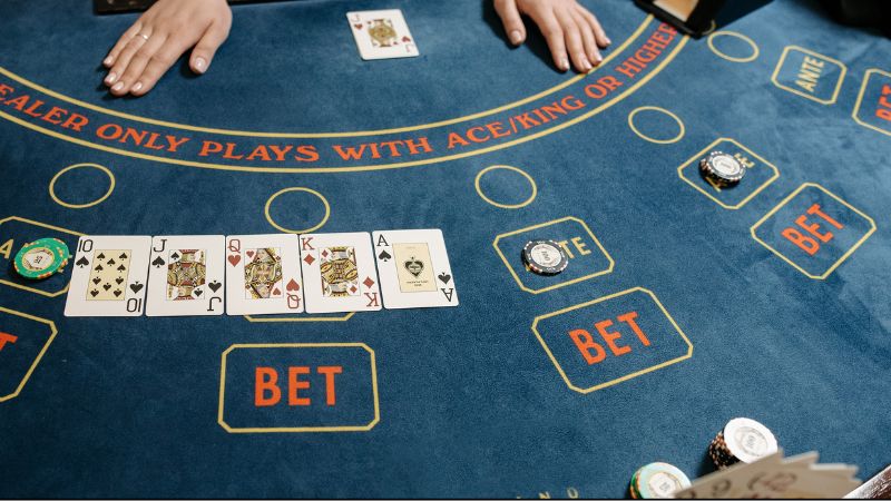 Lý do nên chọn Shbet – Sòng casino uy tín số 1 hiện nay