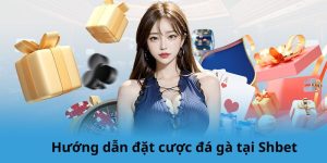 Hướng dẫn đặt cược đá gà tại Shbet